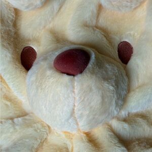 Disney Winnie the Pooh Plush Shoulder Bag